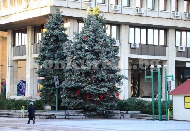 Коледната елха във Видин грейва на 7 декември