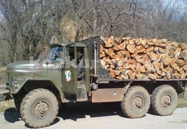 Окошариха двама мъже заради незаконна сеч