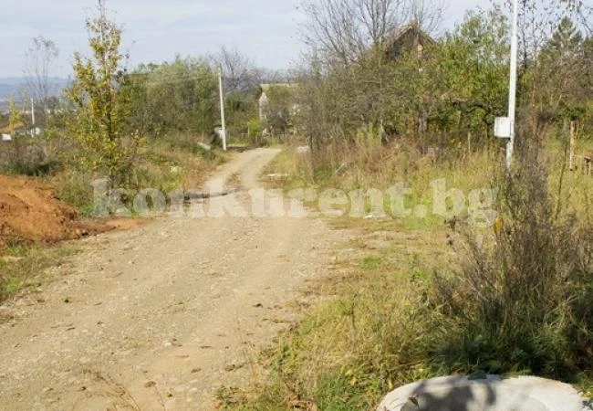 Странна кражба ошашави зъболекар