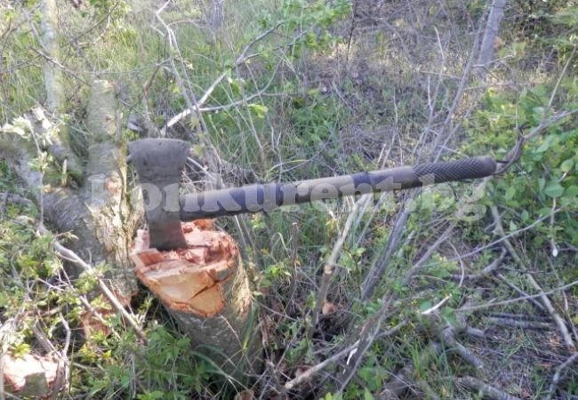 Банда нападна горски с брадви и мачете
