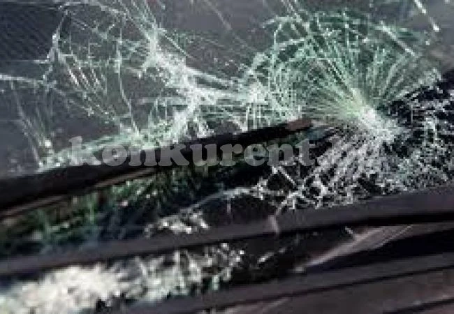Прокуратурата в Мездра подхваща екшъна в гората край Струпец, 4-има са в ареста