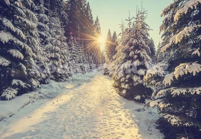 Какво време ни чака днес