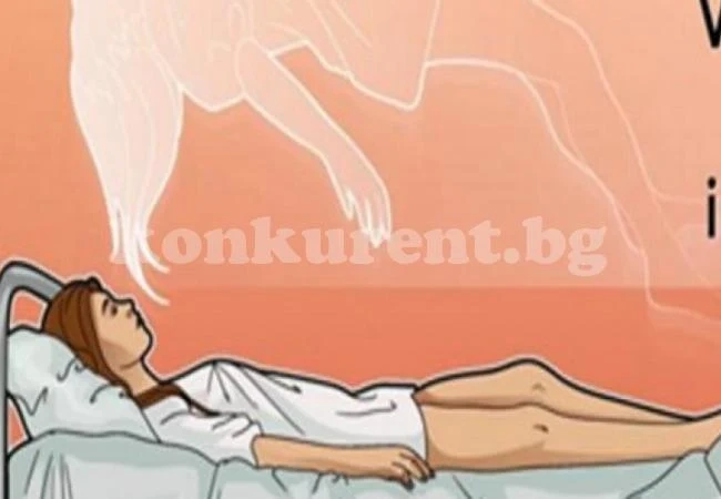 Ние сме родени 7 пъти на този свят. Разберете кой от тях се основава на вашите характеристики в момента
