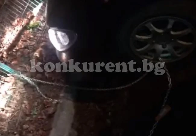 Служители на паяка отмъстиха хитро на шофьор, който се опита да ги прекара