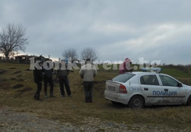 Глутница псета тероризира цяло село, местните са сериозно притеснени