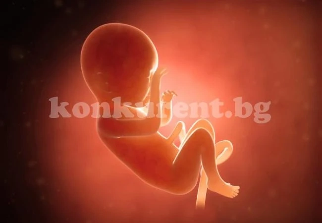3 неща, които детето научава, докато е в утробата