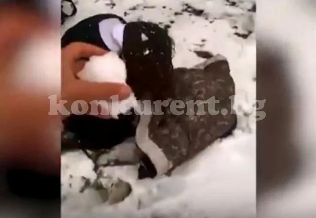 (ВИДЕО 18+) Ученици жестоко пребиха и издевателстваха над своя съученичка