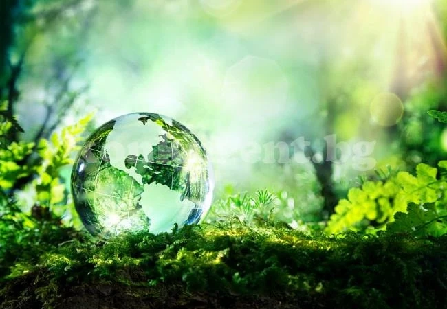 Разкриха тайна, свързана с древна форма на живот на Земята 