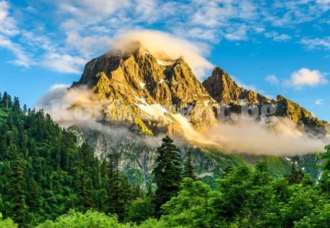 9 безплатни начина да станеш богат