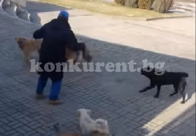(Видео) Глутница кучета нападна мъж