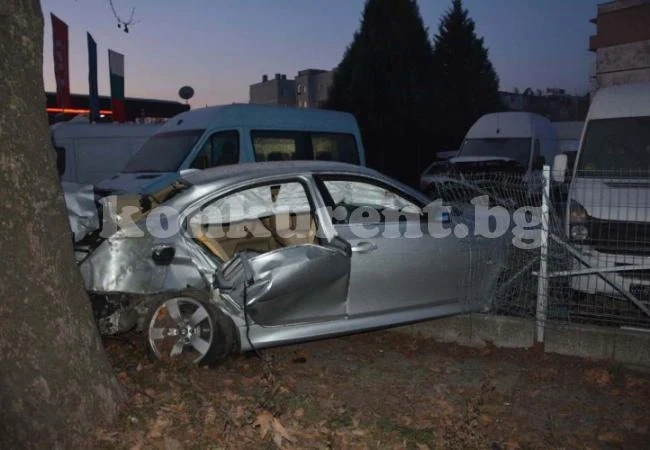 БМВ се заби в автокъща, помля дърво и два микробуса