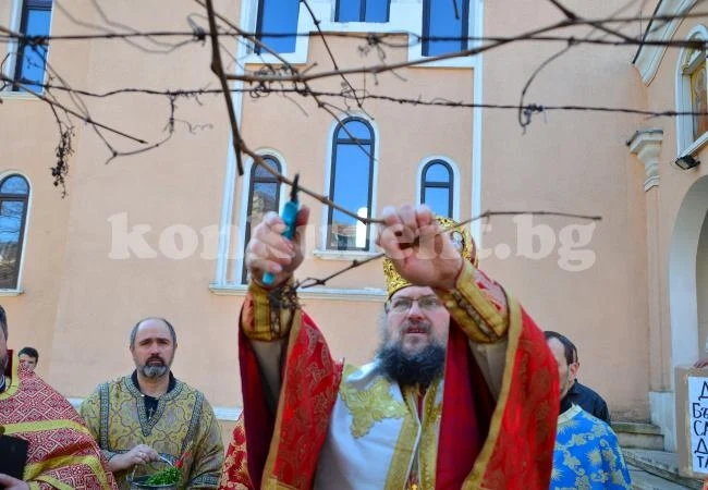 Митрополит Григорий заряза лозите и благослови за берекет СНИМКИ