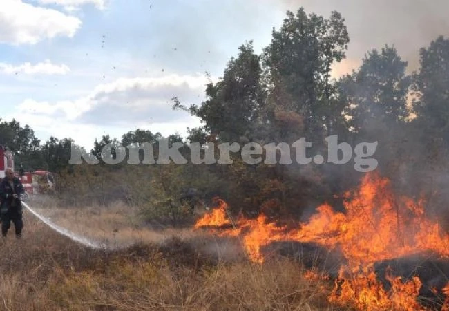 Бурният вятър докара нова беля във Врачанско