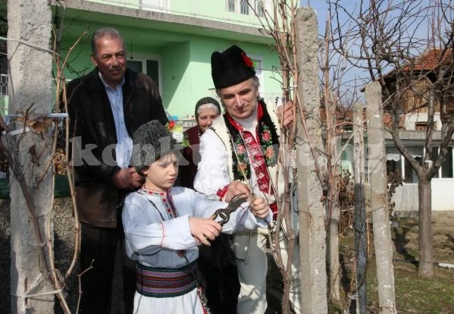 6-годишен заряза лозята в Майор Узуново  