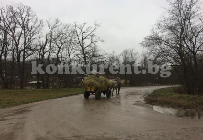 Времето се затопли, каруцарите се юрнаха СНИМКИ