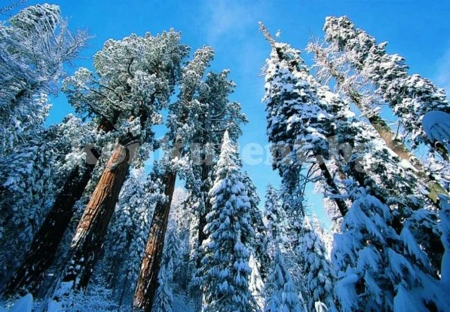 Слаб дъжд на места днес, високо в планините - дори сняг