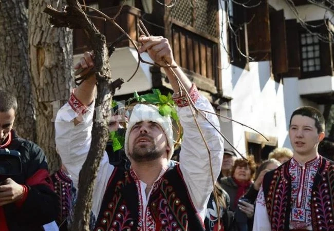 Враца готви тържество за Зарезан