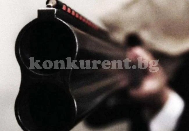 Софиянец гръмна котката на комшия