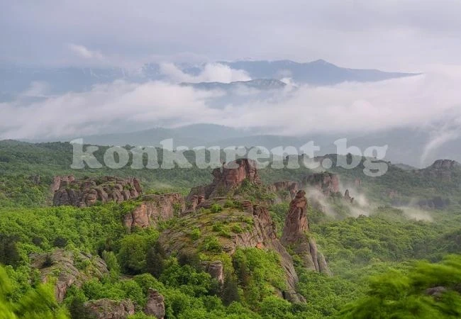 Турлашки истории: Гендераче и караконджуле*