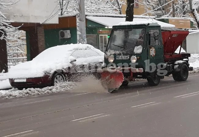 Снегорините \