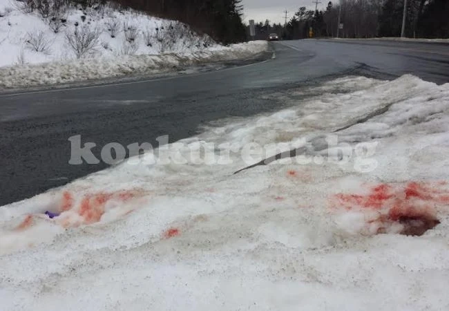 Пияни се млатиха в северозападно село