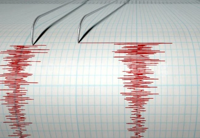 Земетресение с магнитуд 4,8 по скалата на Рихтер