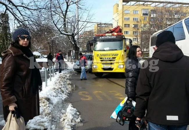 Екшън с паяка във Враца СНИМКИ