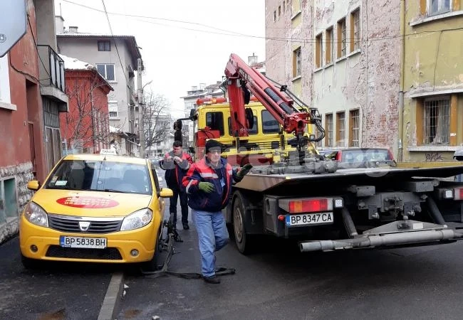 Паякът жили наред, този път го отнесе такси СНИМКИ