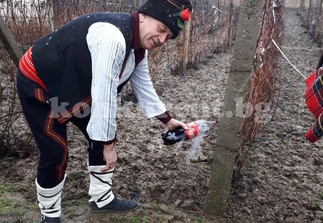 Кметът на Манастирище спази традицията на Зарезан СНИМКИ