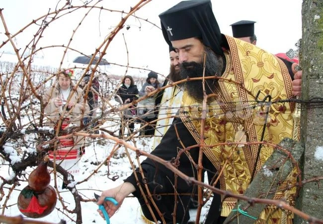 Видинският митрополит Даниил благослови лозята в Ново село