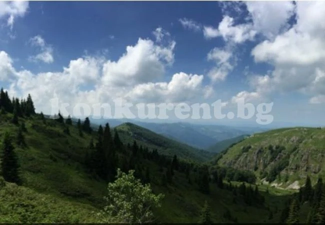 Вековните букови гори в „Централен Балкан“ стават част от обект на ЮНЕСКО