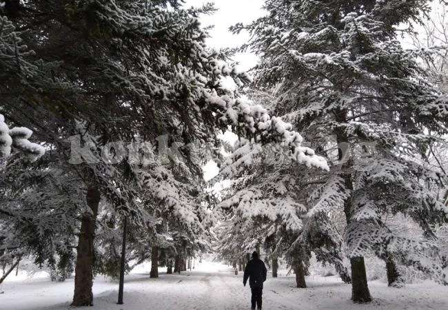 Обстановката се усложнява: Сняг в цялата страна, температурите падат