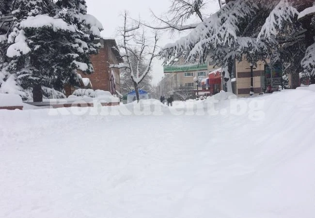 Снегът укроти бандюгите