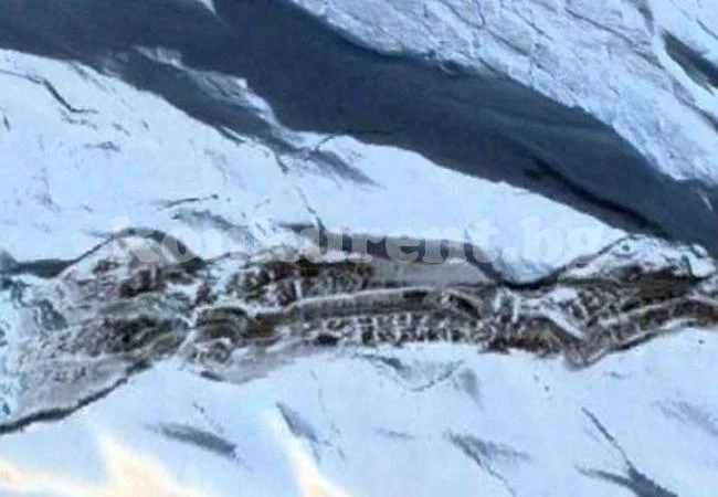 Загадъчна структура откриха под разтапящ се лед в Антарктика (СНИМКИ)