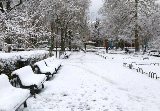 Слепец падна в двора си, стоял с дни в студа, а сега трепери от страх заради...