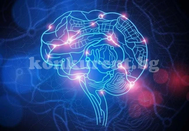Полезни упражнения за ум като бръснач