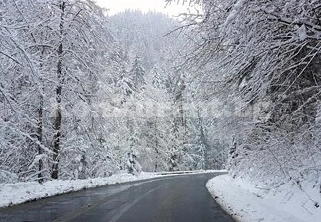 Автобус с 15 пътници се блъсна във влекач