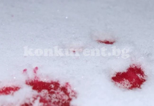 Непълнолетна в болница с комоцио, ударил я тийнейджър, който е в ареста