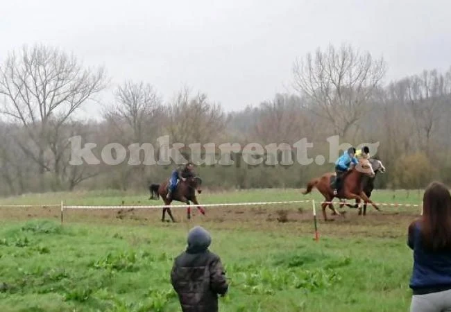 Вижте къде направиха кушия преди Великден