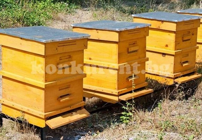 Задигнаха 23 кошера заедно с пчелните семейства