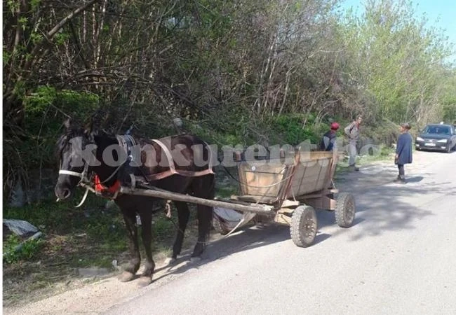Удариха с акт нарушител на наредба