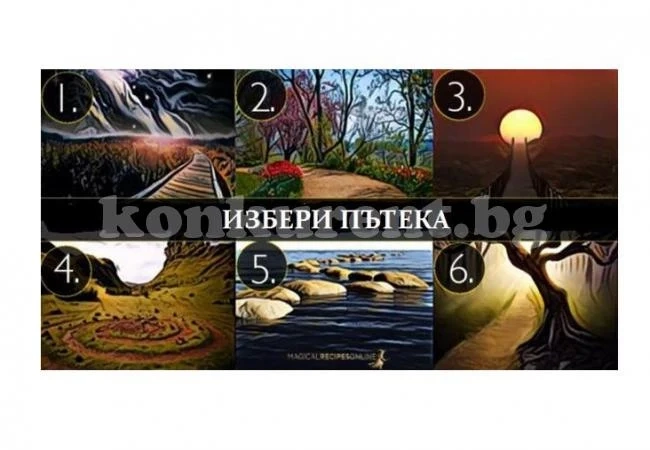 Избери пътека и разбери какво се крие в теб