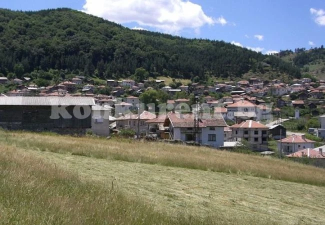 Мъката на селски кмет: 40 ергени не щат булки, а бебета няма
