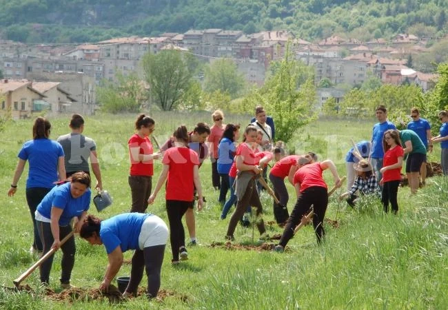 Ученици засадиха млада гора