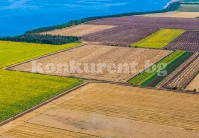 Отдават на търгове стотици общински имоти