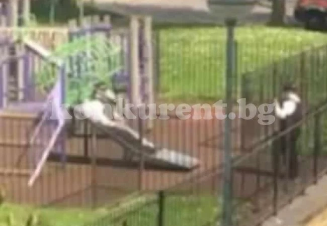Палави полицаи се снимат на детски люлки и пързалка (ВИДЕО)