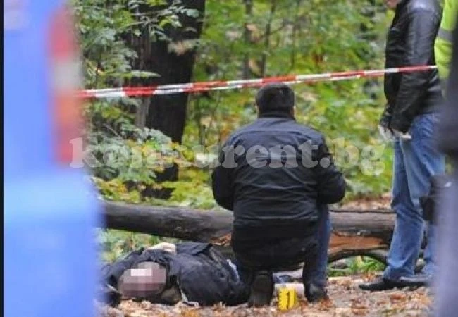 Работник почина затиснат от дърво