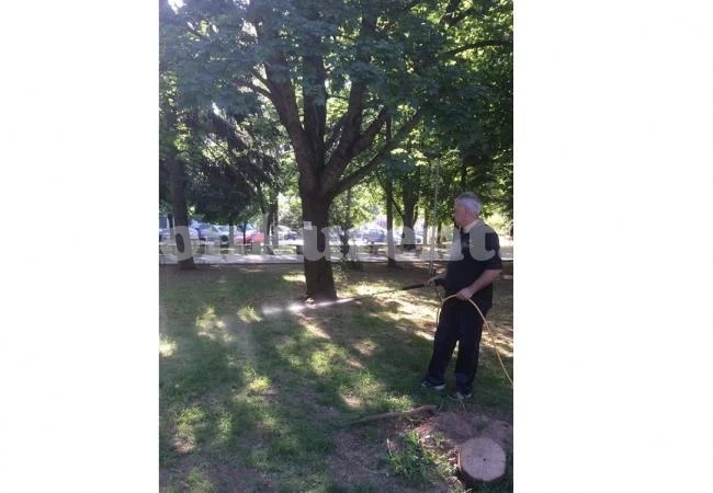 Започна пръскането на тревните площи във Враца