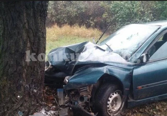Пияна видинчанка нацели дърво