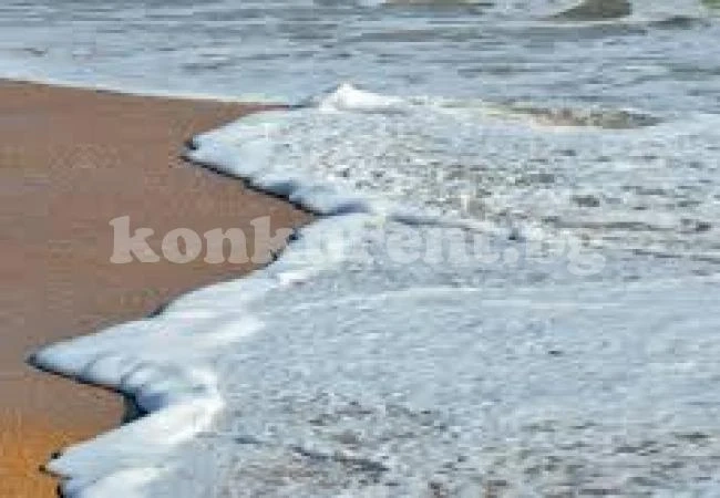 Морето на юг изхвърля мъртви овце